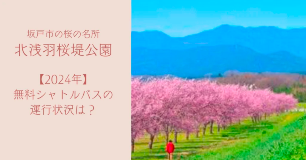 【花見】北浅羽桜堤公園のシャトルバスは廃止済み！2024の移動手段まとめ