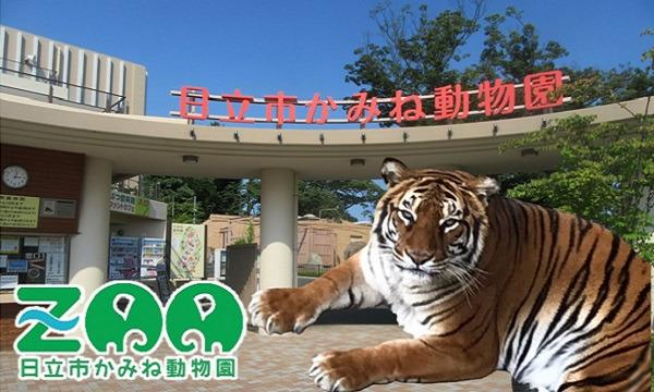 任天堂殺害予告　スプラトゥーン甲子園　延期　日立市職員　風間健心　かみね動物園